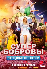 СуперБобровы. Народные мстители в Симакс