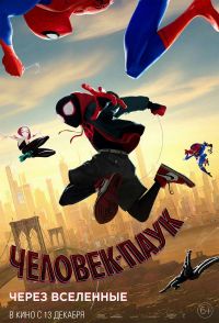 Человек-паук: Через вселенные 3D в Симакс